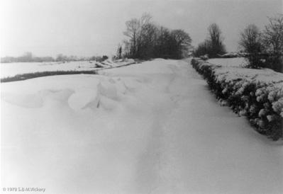 1978_Snow-2