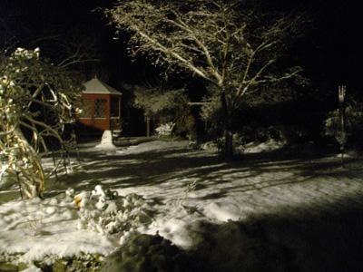 Snow_Night_020209-2