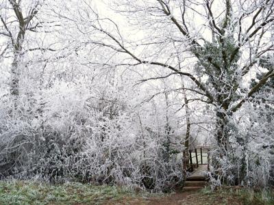 winter_scene-2